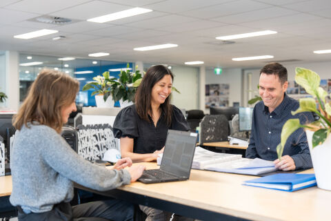 Estimating Assistant